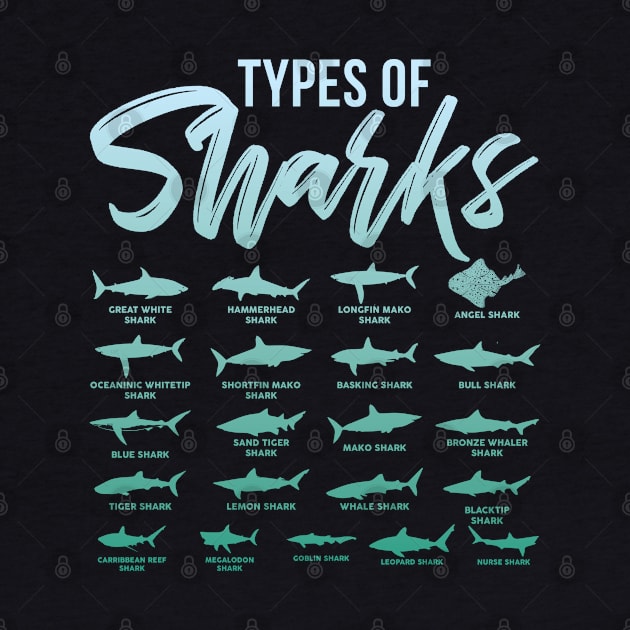 21 Types Of Sharks Educational Ocean by cranko